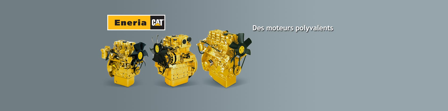 Nous vous proposons une gamme complète de moteurs diesel Caterpillar dans de nombreuses versions.