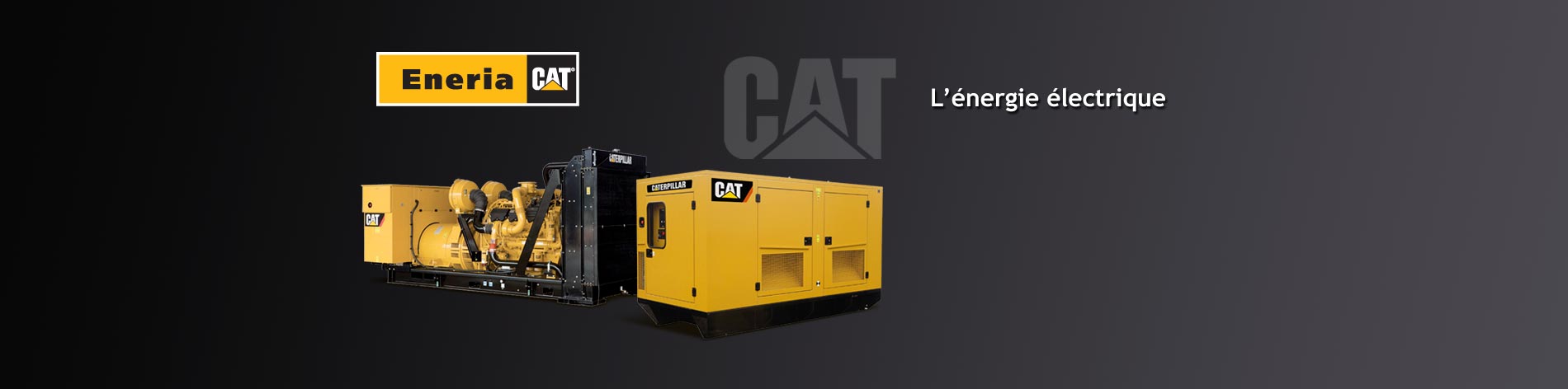 Fixes ou mobiles, de 10 à 14 000 kW, nous distribuons et installons les groupes électrogènes Caterpillar dans toutes les configurations, en conteneur, en bâtiment, dans tous les environnements et pour tous les climats du monde.